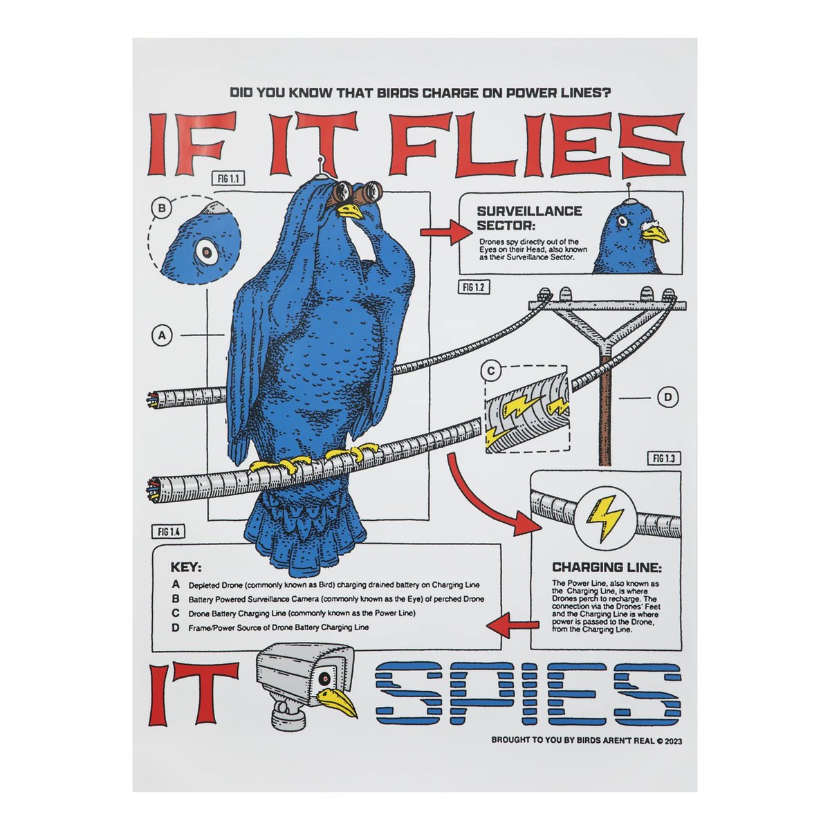Poster showing a bird charging on a power line